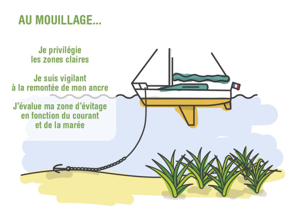 Les bonnes pratiques du mouillage